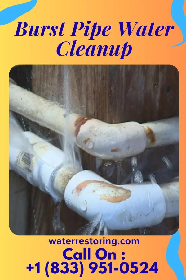 Burst Pipe Water Cleanup in Lancaster, WI