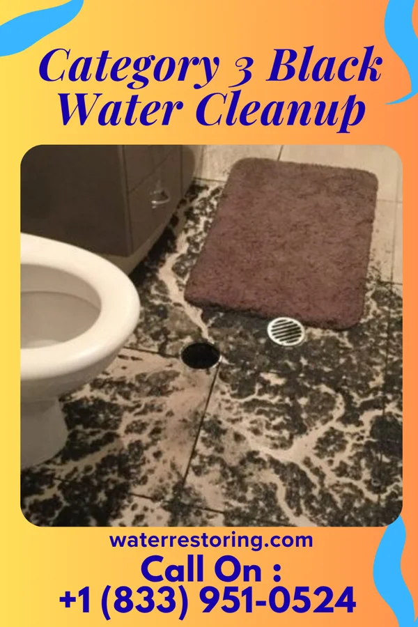 Category 3 Black Water Cleanup in Lancaster, WI