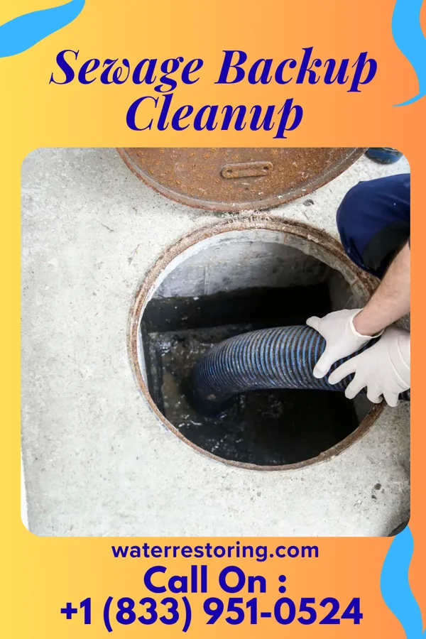 Sewage Backup Cleanup in Lancaster, WI