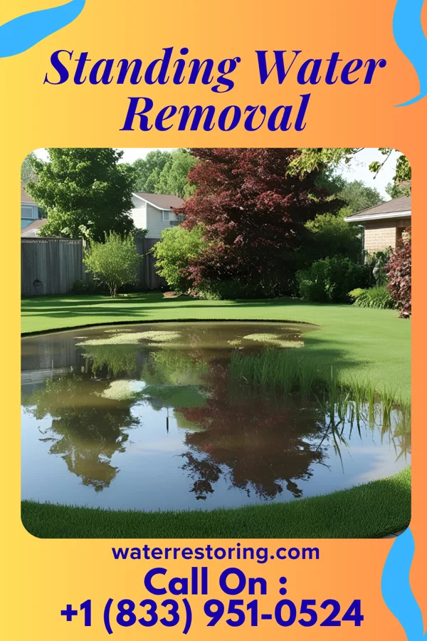 Standing Water Removal in Lancaster, WI